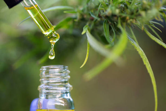 Exploring the Benefits of CBD