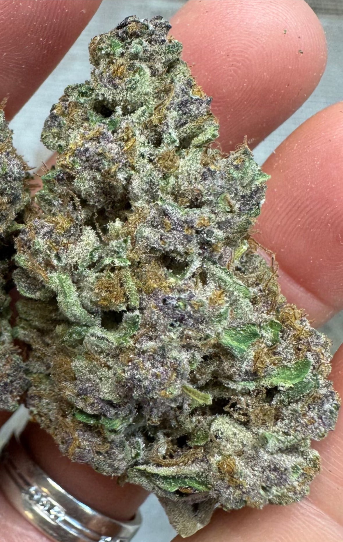 THCa GMO Grapes Flower