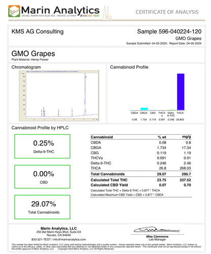 GMO Grapes THCa Flower