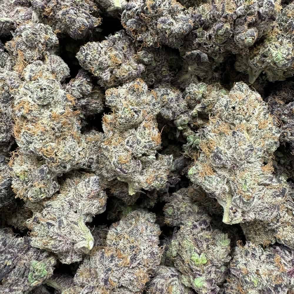 THCa purple voodoo flower