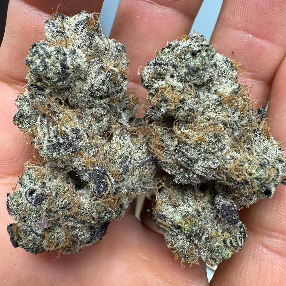 THCa purple voodoo flower