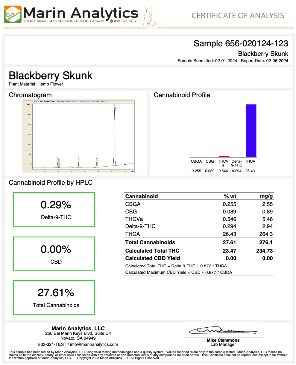 Blackberry Skunk THCa Flower Shake 28g (1oz)