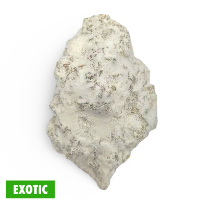 NEW 🔥 White Widow THCa Flower • EXOTIC